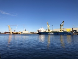 Bild - SMV