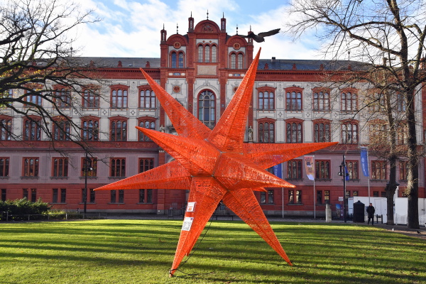 Orange Day Rostock (Foto 1)