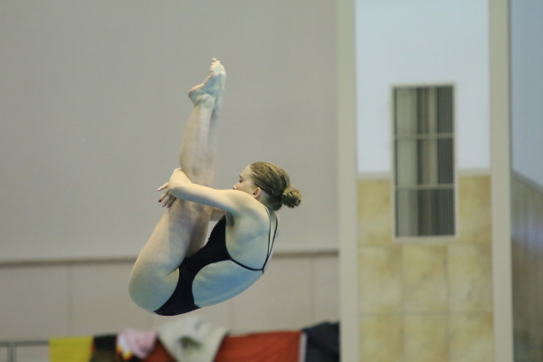Jette Müller im Sprung vom 3-Meter-Brett Jette Müller im Sprung vom 3-Meter-Brett