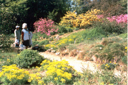 Botanischer Garten
