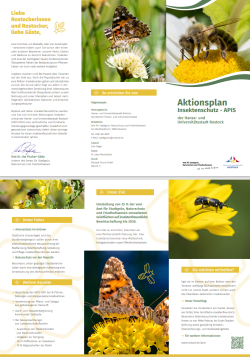 Aktionsplan Insektenschutz APIS Aktionsplan Insektenschutz APIS