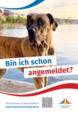 Plakat "Bin ich schon angemeldet?" - Hundesteuer 2025