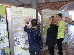 Ausstellung "Demokratie stärken" in der Rathaushalle