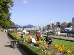 Pflege der Saisonblumen