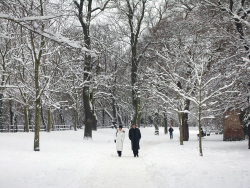 Wallanlagen im Winter