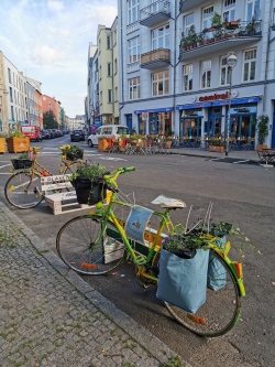 Sommerstraße 2023 - Kinder- und Jugendbeteiligung SoBi e.V.