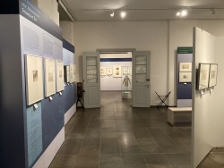 Blick in die Sonderausstellung "Der Stadtphysikus: Medizin & Romantik" des Kulturhistorischen Museums Rostock.