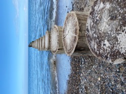 Strand mit Buhnen Strand mit Buhnen
