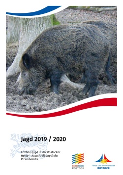 Titel "Jagdausschreibung"