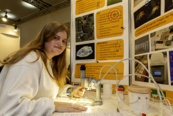 Den 1. Preis im Fachgebiet Biologie hat Klara Keller vom Gymnasium Reutershagen erhalten. Sie hat im Rahmen ihres Projektes zum Thema "Polymerase Kettenreaktion detektiert Wolbachia" die Taufliegengattung Drosophila untersucht. 