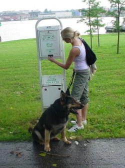 Hund am Gehlsdorfer Ufer