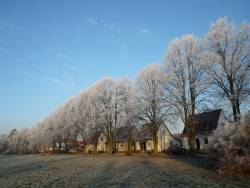 Lindenreihe Lindenreihe