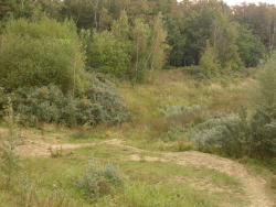 Sandgrube Stoltera Sandgrube Stoltera
