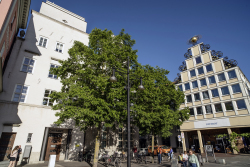 Ortsamt Stadtmitte Ortsamt Stadtmitte