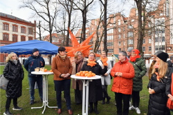 Orange Day Rostock (Foto 8) Orange Day Rostock (Foto 8)