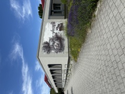Ortsamt Ost Ortsamt Ost