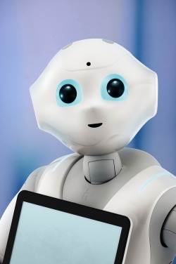 pepper