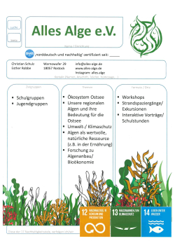 Steckbrief AllesAlge