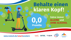 Plakat, fahre alleine und ohne Alkohol