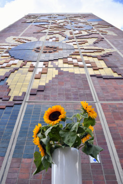 Sonnenblumenhaus Sonnenblumenhaus