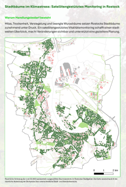 Satellitengestütztes Monitoring