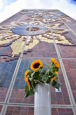 Sonnenblumenhaus in Lichtenhagen