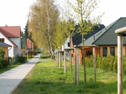 LP_Baumpflanzung Tannenweg
