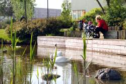Toitenwinkel