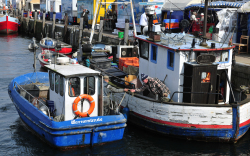 Warnemünde, Fischerboote