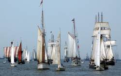 Hanse Sail, Segler