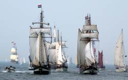Hanse Sail, Schiffe