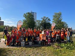 50 Helfer*innen in den Wallanlagen.